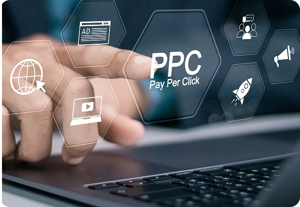 Premium Design Services